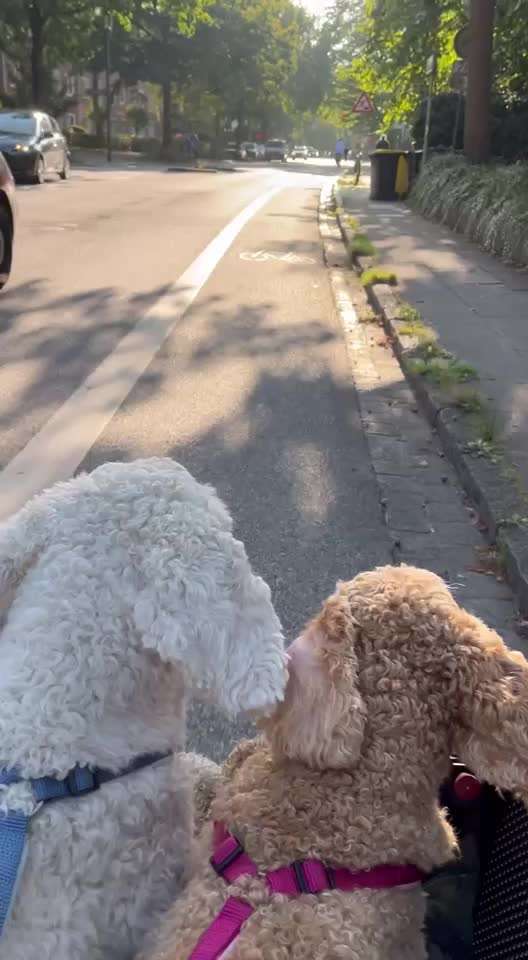 Was hat euch heute gefreut?-Beitrag-Bild