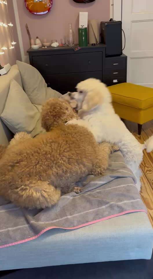 Was hat euch heute genervt?-Beitrag-Bild