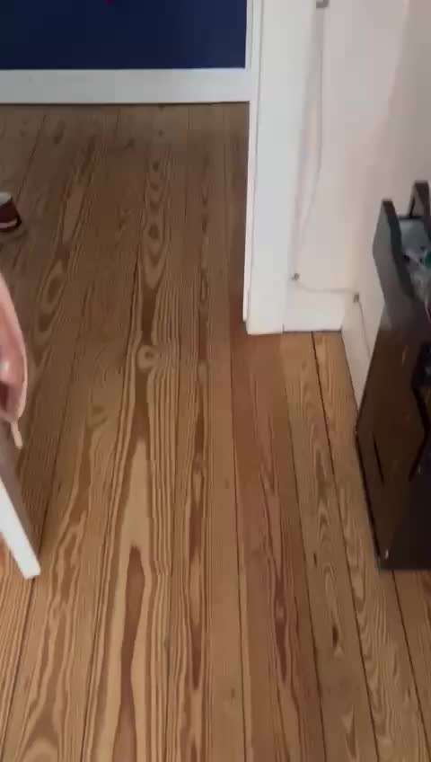 30. Impulskontrollübung: Ich trag dich auf Händen-Beitrag-Bild