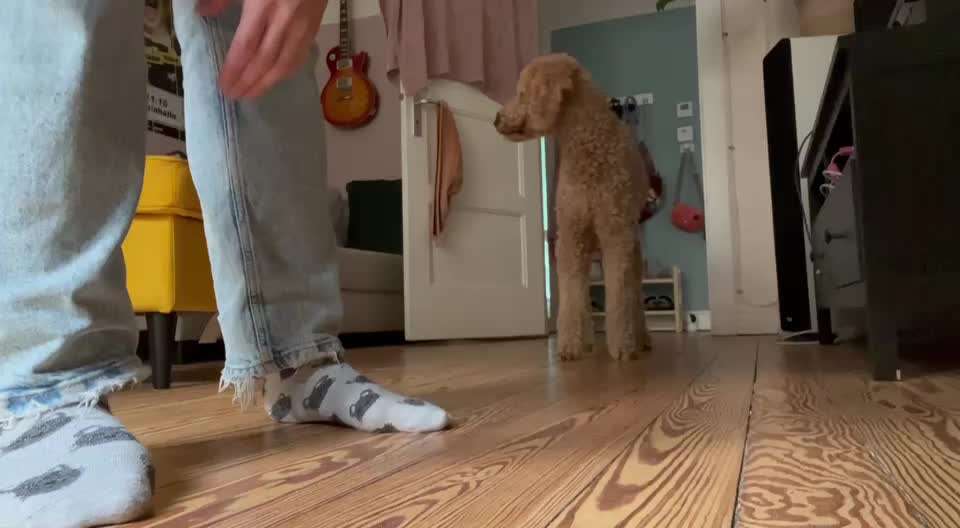 Trickchallenge - ich packe meinen 5. Koffer-Beitrag-Bild