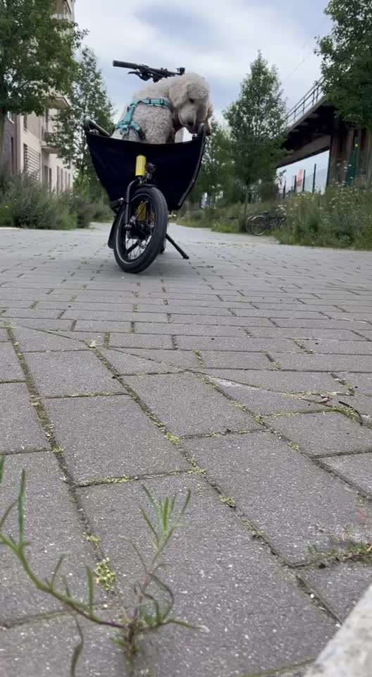 Was hat euch heute gefreut?-Beitrag-Bild