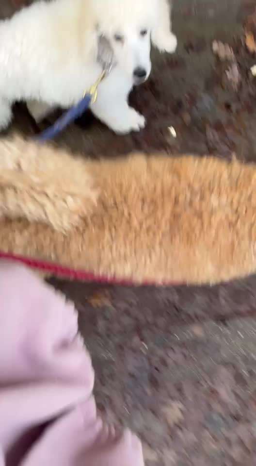 Was hat euch heute genervt?-Beitrag-Bild