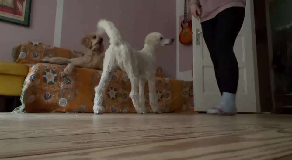 Trick Spiel - Koffer packen - der 16.-Beitrag-Bild