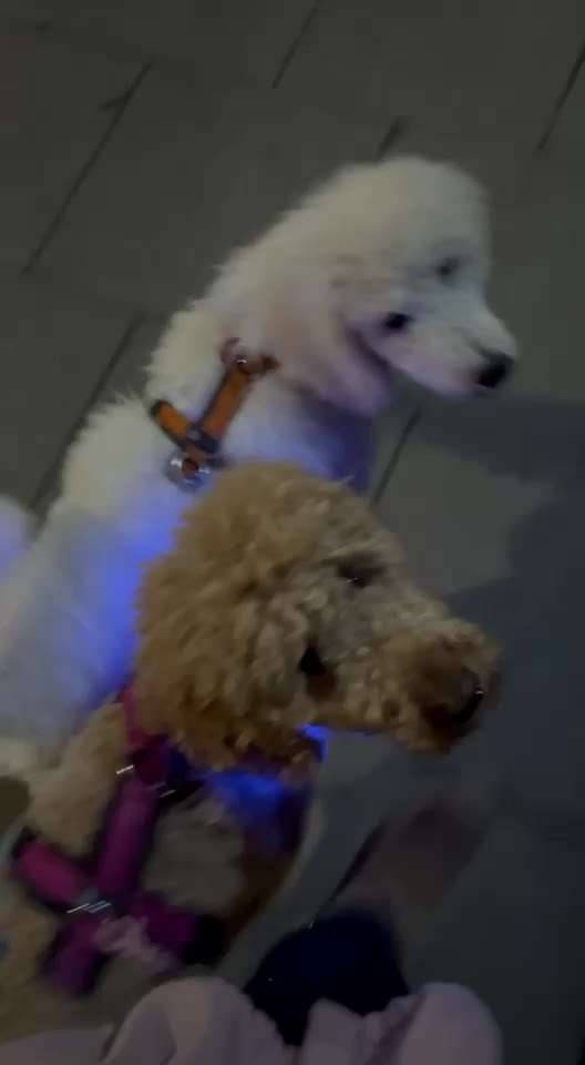 Was hat euch heute genervt?-Beitrag-Bild