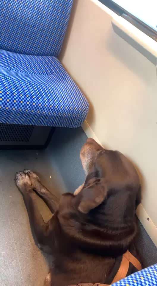 Zittern-Beitrag-Bild