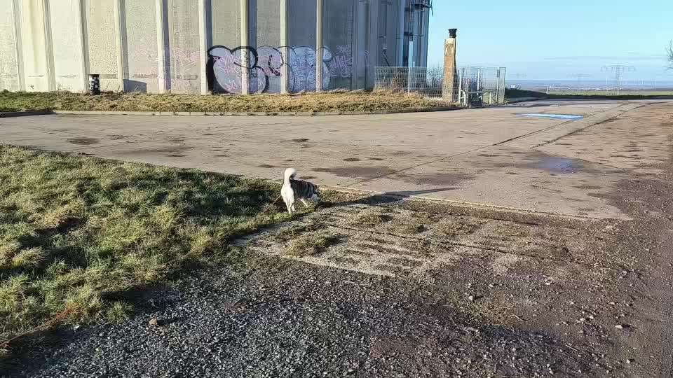 Rückruf Tips und Tricks benötigt-Beitrag-Bild