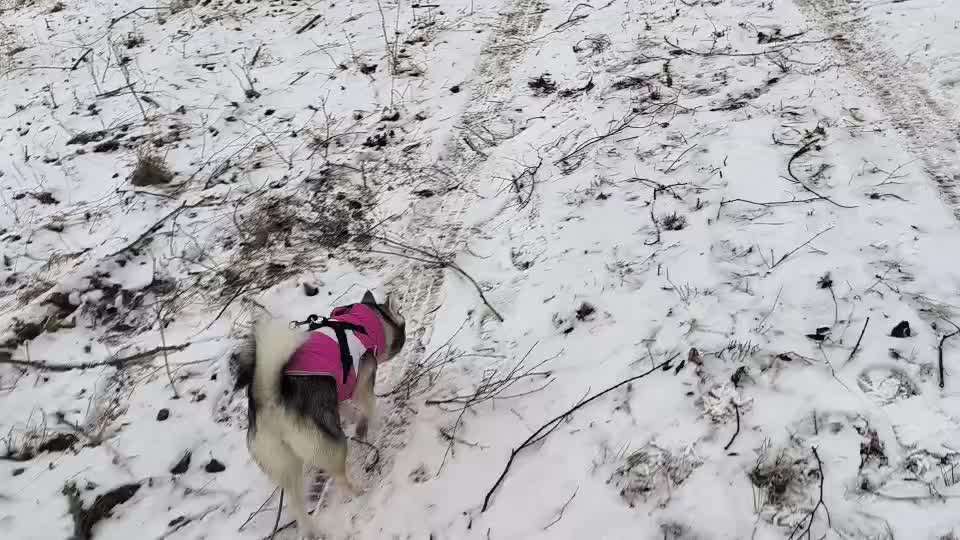 Rückruf Tips und Tricks benötigt-Beitrag-Bild