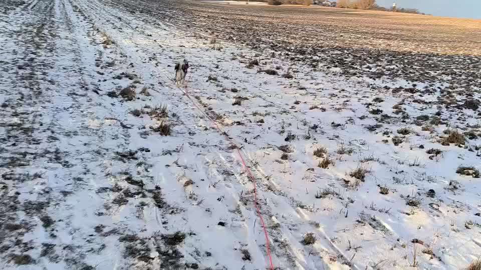 Rückruf Tips und Tricks benötigt-Beitrag-Bild