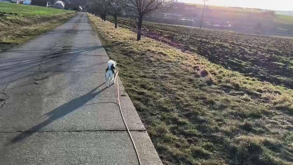 Rückruf Tips und Tricks benötigt-Beitrag-Bild