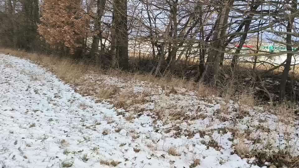 Rückruf Tips und Tricks benötigt-Beitrag-Bild