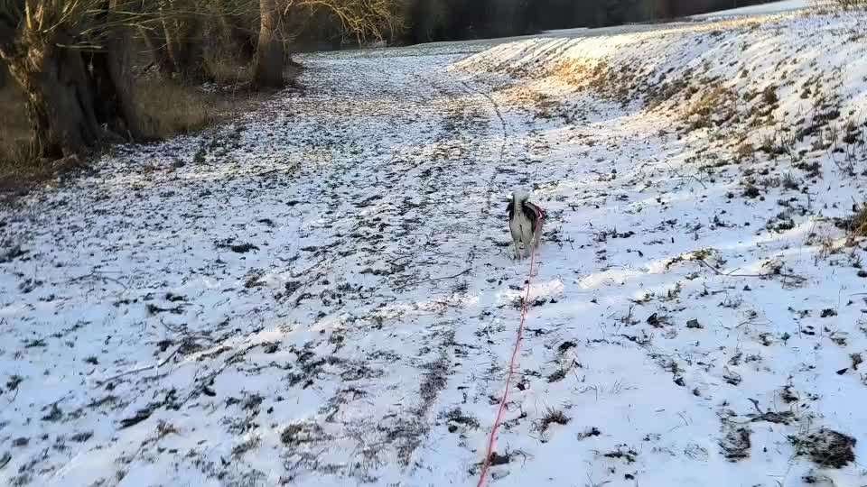 Rückruf Tips und Tricks benötigt-Beitrag-Bild