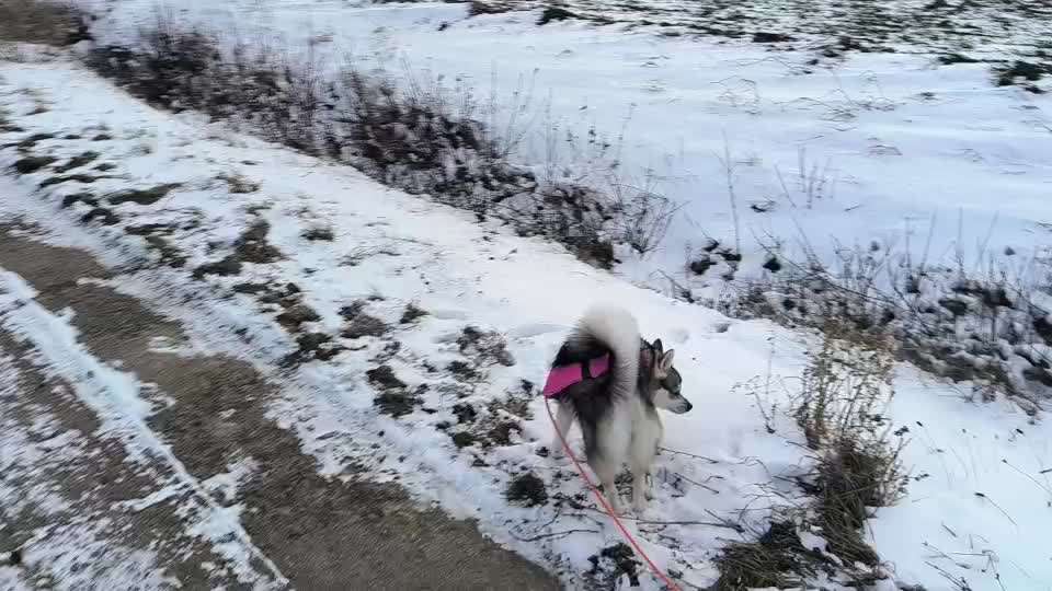 Rückruf Tips und Tricks benötigt-Beitrag-Bild