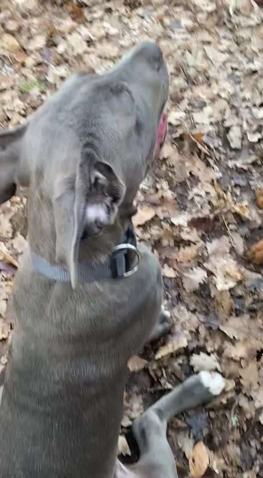 Analyse & Interpretation von Verhalten-Beitrag-Bild