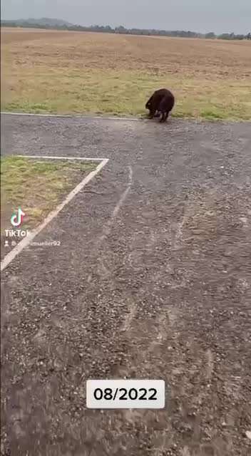 Best Days-Beitrag-Bild