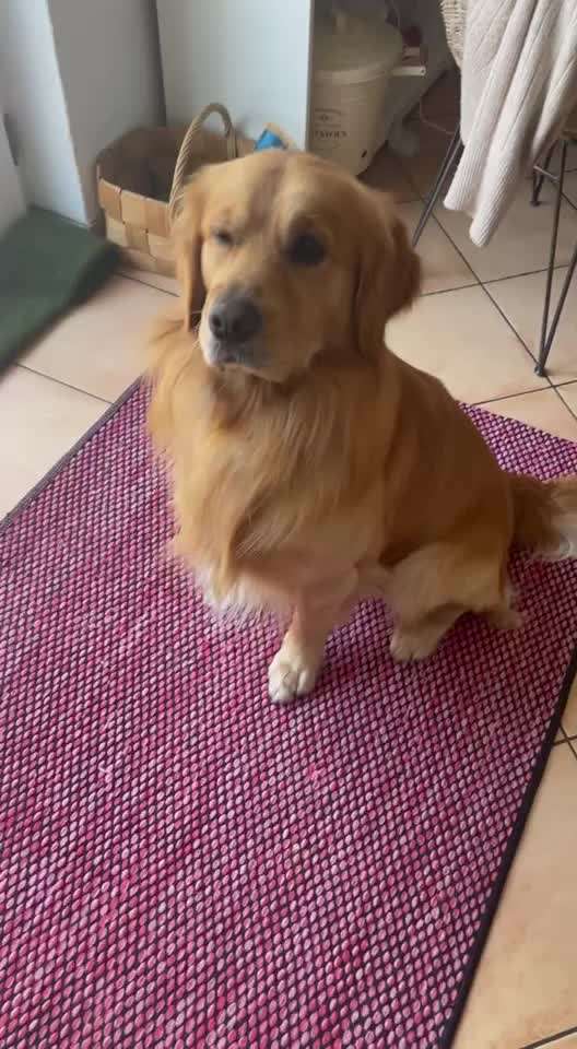 Beschäftigungsmöglichkeiten "mit Anstupsen" gesucht..-Beitrag-Bild