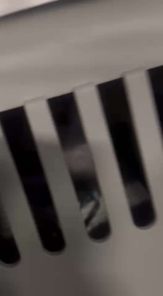 Mein Hund hat plötzlich Angst im Auto-Beitrag-Bild