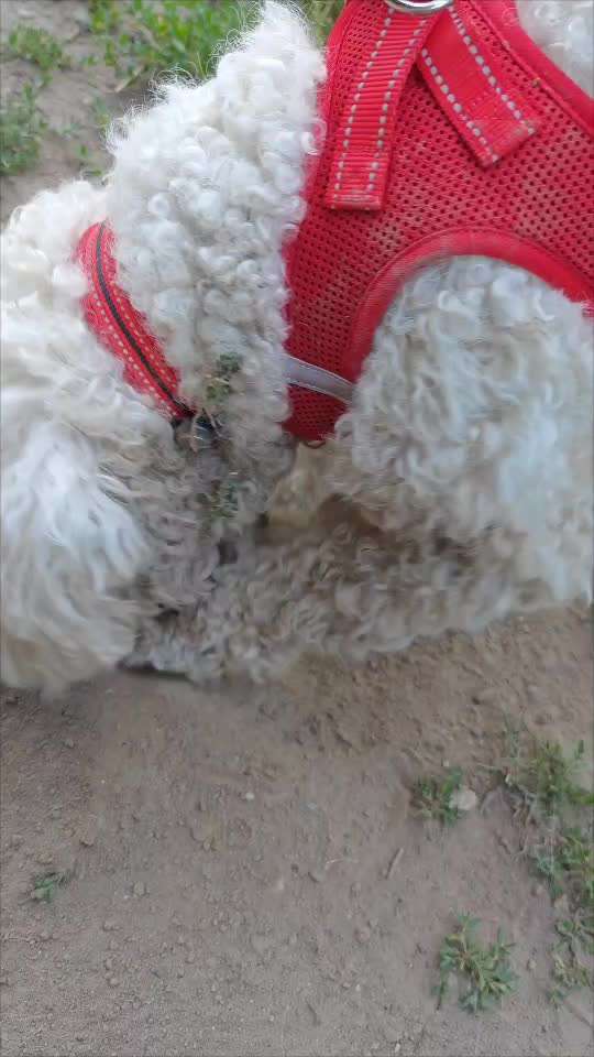 56. Impulskontrollchallenge : Ich warte auf dich !-Beitrag-Bild