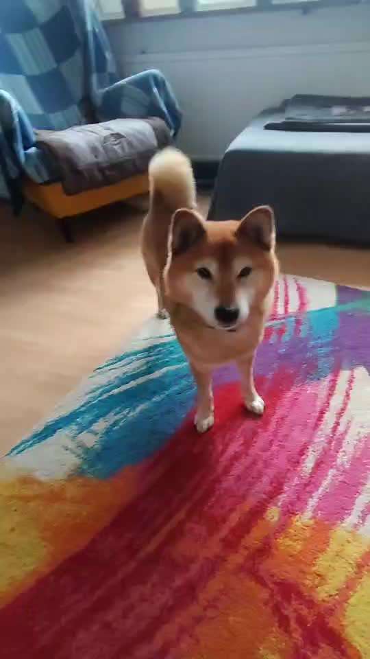 𝕋ℝ𝕀ℂ𝕂 ℂℍ𝔸𝕃𝕃𝔼ℕ𝔾𝔼 ℕℝ. 𝟚-Beitrag-Bild