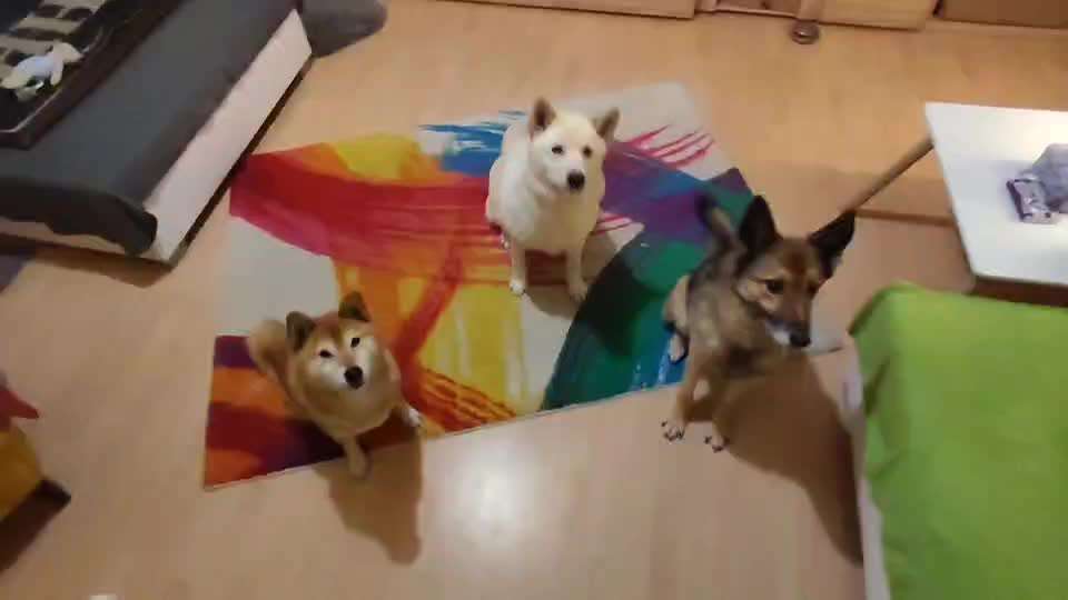 𝕋ℝ𝕀ℂ𝕂 ℂℍ𝔸𝕃𝕃𝔼ℕ𝔾𝔼 ℕℝ. 𝟙-Beitrag-Bild