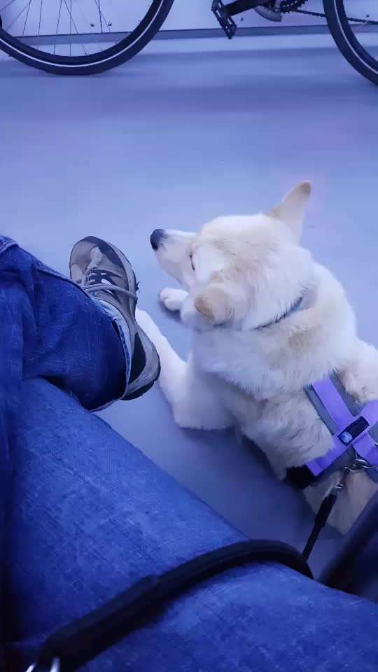 Trainingserfolge-Beitrag-Bild