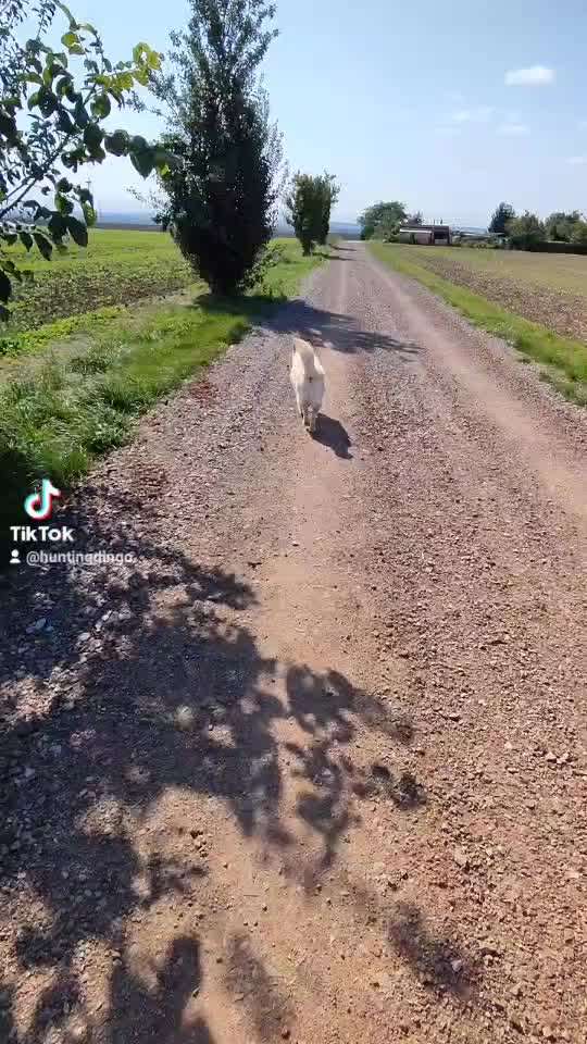 𝕋ℝ𝕀ℂ𝕂 ℂℍ𝔸𝕃𝕃𝔼ℕ𝔾𝔼 ℕℝ. 𝟚-Beitrag-Bild