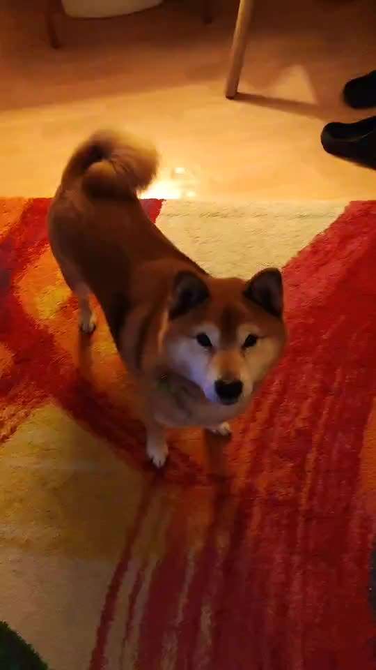 𝕋ℝ𝕀ℂ𝕂 ℂℍ𝔸𝕃𝕃𝔼ℕ𝔾𝔼 ℕℝ. 𝟚-Beitrag-Bild