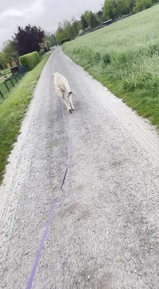 IW-Besitzer zum Austausch gesucht! Am besten im Raum HD-Beitrag-Bild