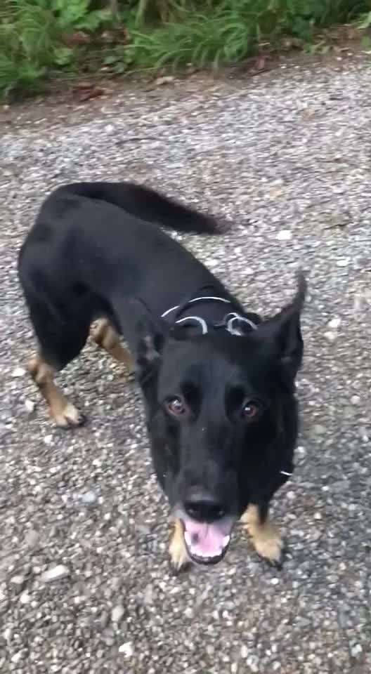 Was hat euch heute gefreut?-Beitrag-Bild