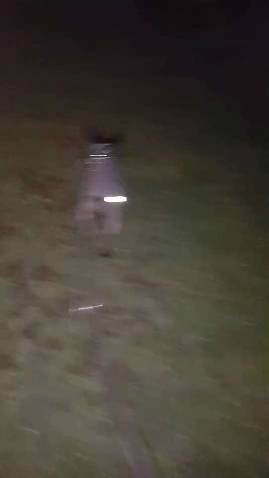 Beleuchtung beim Gassigang-Beitrag-Bild