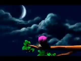 Hunde Memes-Beitrag-Bild