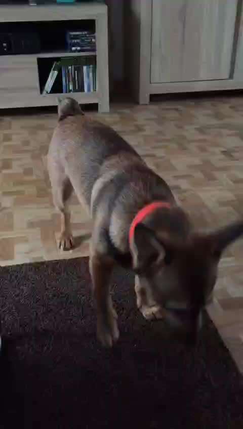 FUN AUFGABEN TOUR-Beitrag-Bild