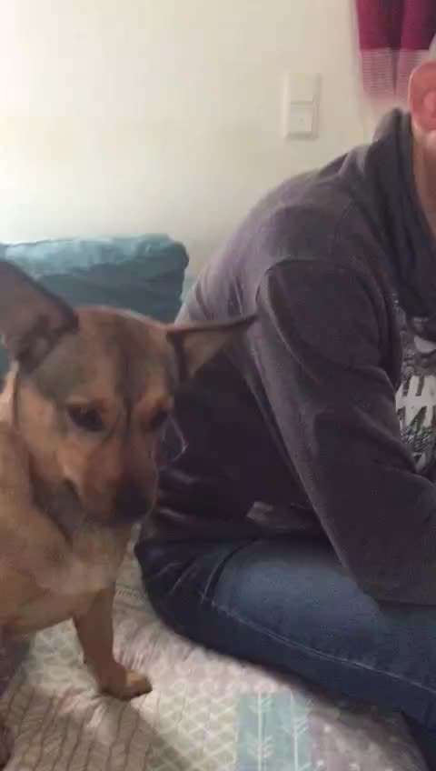 Trick Challenge Nr. 20   "Selfietrick"-Beitrag-Bild