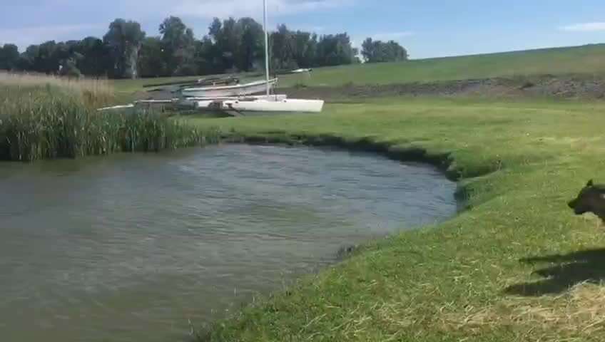 Was macht ihr am liebsten?-Beitrag-Bild