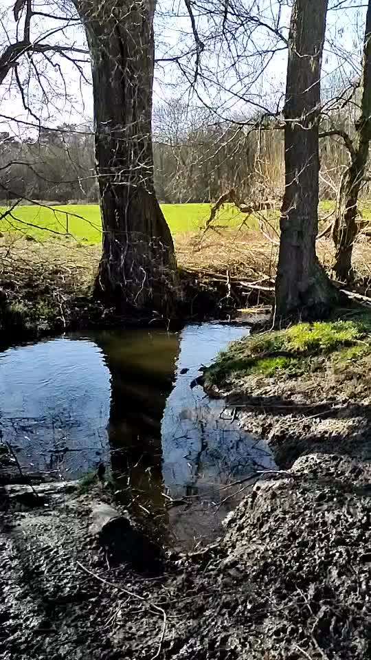 Was macht ihr am liebsten?-Beitrag-Bild