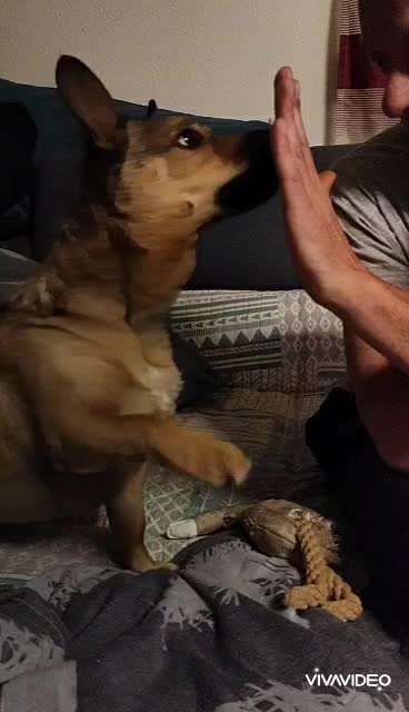 FUN AUFGABEN TOUR-Beitrag-Bild