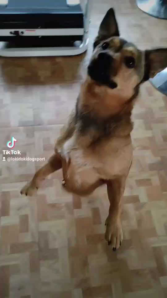 Trick Challenge Nr. 15-Beitrag-Bild