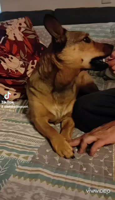 Trick Challenge Nr. 14-Beitrag-Bild