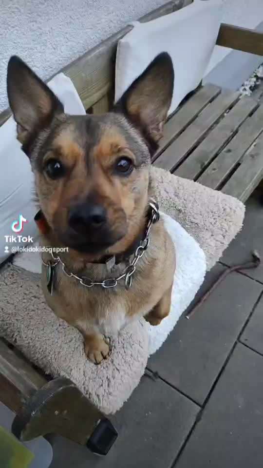 80. Foto  Challenge - Versteckt/ in einer Höhle-Beitrag-Bild