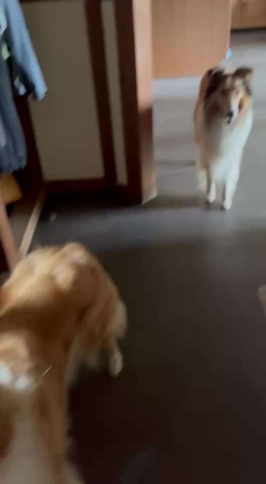 56. Impulskontrollchallenge : Ich warte auf dich !-Beitrag-Bild