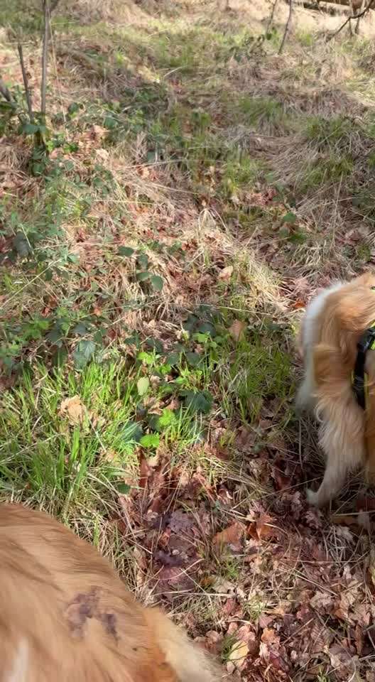 "Wege zur Freundschaft" (Ulli Reichmann)-Beitrag-Bild