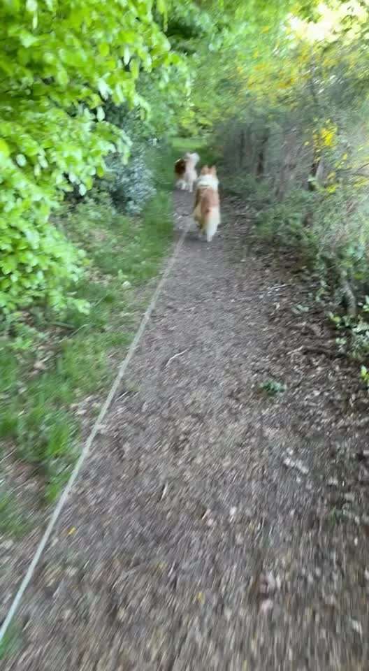 "Wege zur Freundschaft" (Ulli Reichmann)-Beitrag-Bild