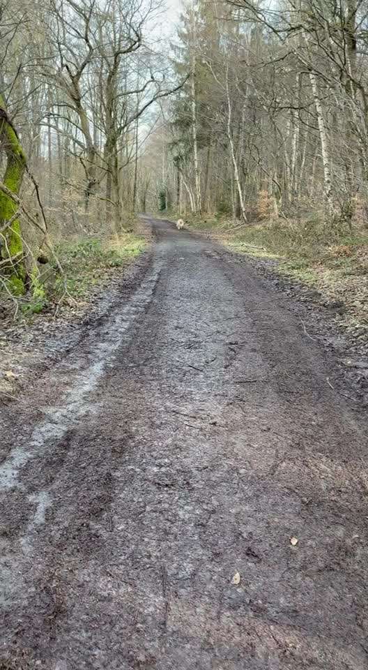 Impulskontrollübung Nr 69 : Ich achte auf Dich !-Beitrag-Bild