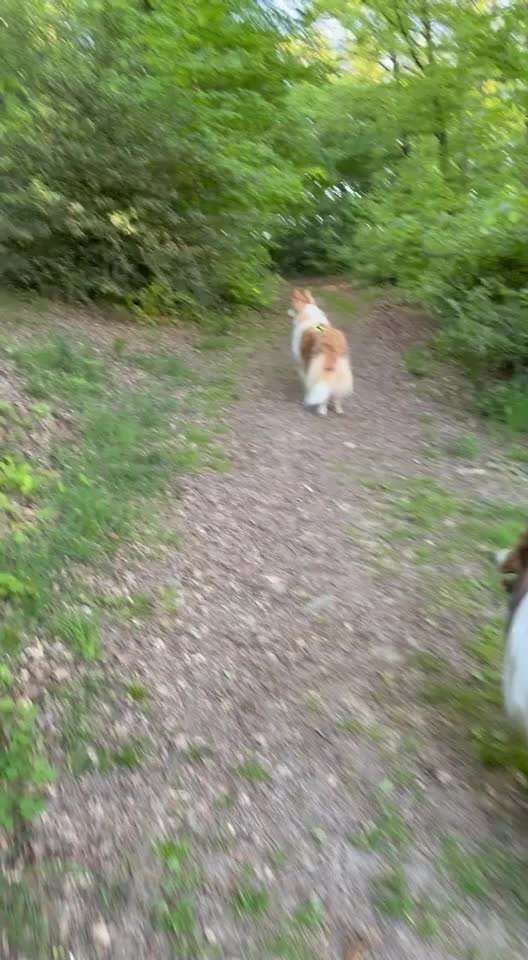 "Wege zur Freundschaft" (Ulli Reichmann)-Beitrag-Bild