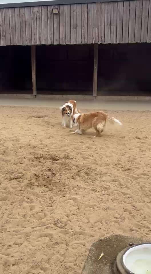 Ursache fürs Anspringen finden und beheben-Beitrag-Bild