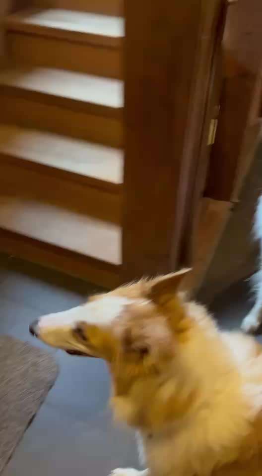 56. Impulskontrollchallenge : Ich warte auf dich !-Beitrag-Bild