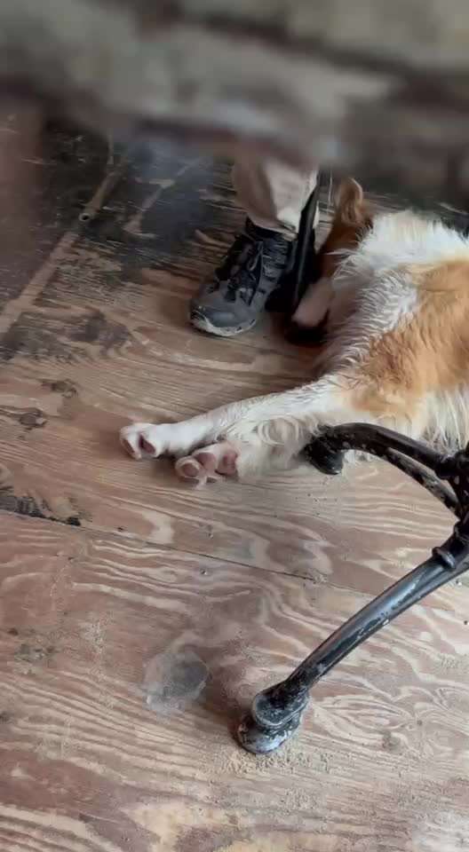 Erste Cafe- und Restaurantbesuche-Beitrag-Bild