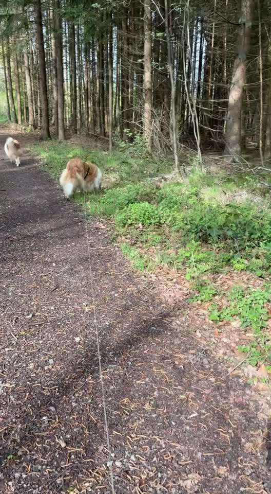 "Wege zur Freundschaft" (Ulli Reichmann)-Beitrag-Bild