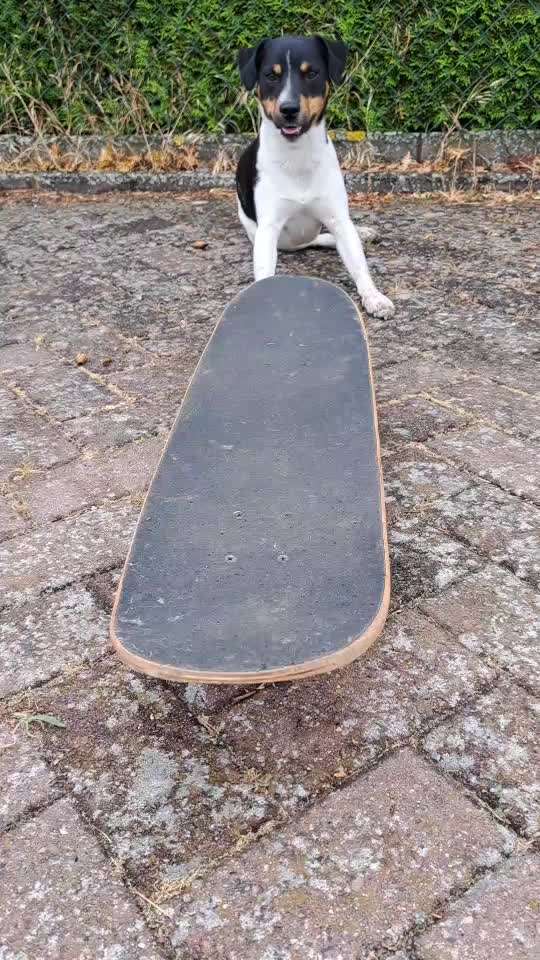 Trick- Challenge Nr. 31 ,Schieben‘-Beitrag-Bild