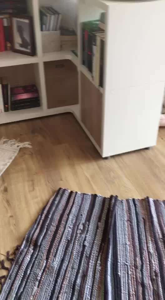 Handy Video Challenge Nr. 39- Bellen u.s.w.-Beitrag-Bild