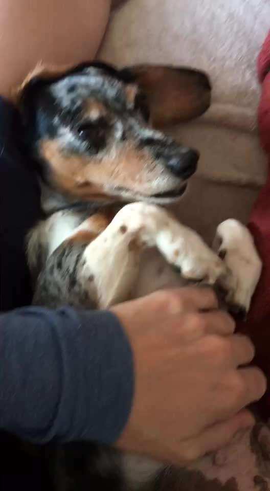 Was hat euch heute gefreut?-Beitrag-Bild